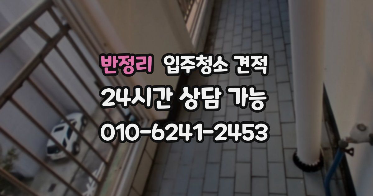 반정리 입주청소 견적