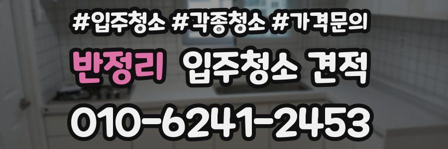 반정리 입주청소 견적