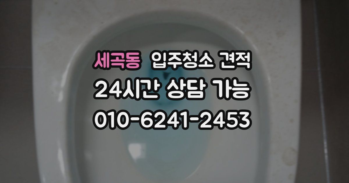 세곡동 입주청소 견적
