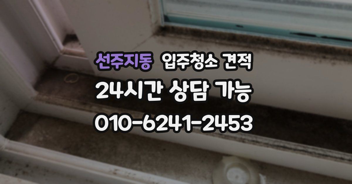 선주지동 입주청소 견적
