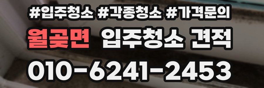 월곶면 입주청소 견적