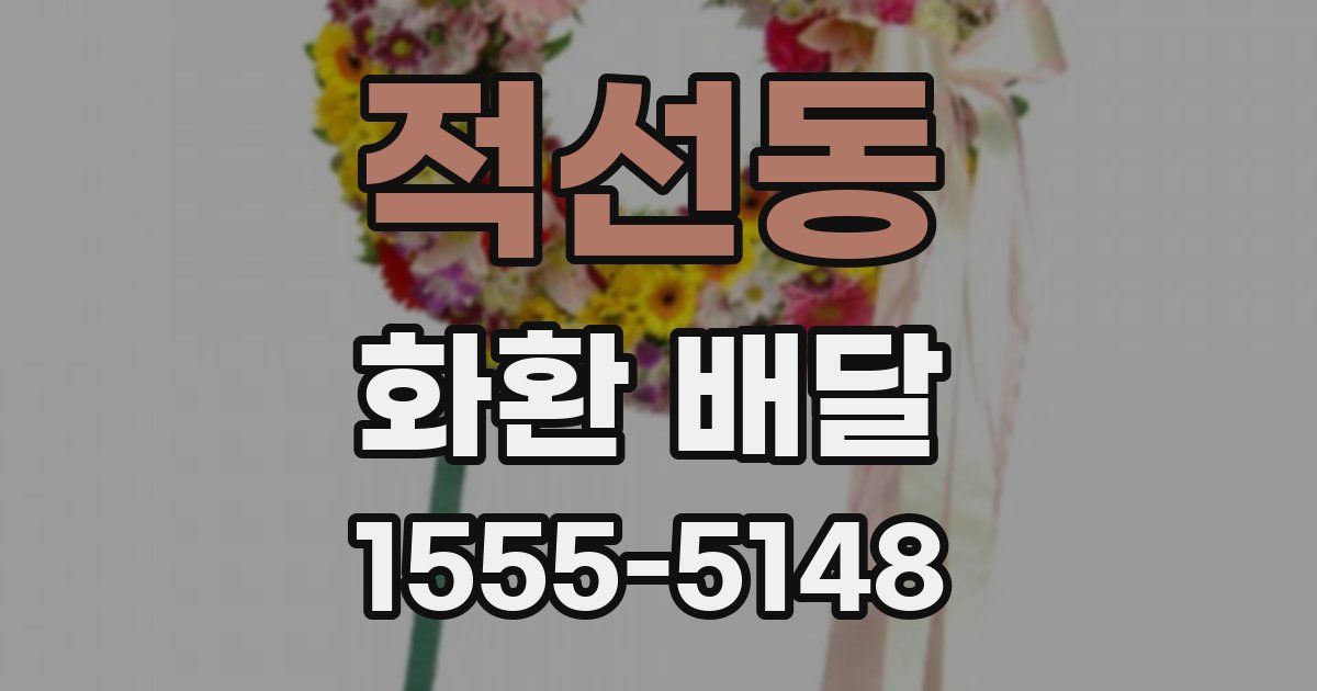 적선동 화환 배달