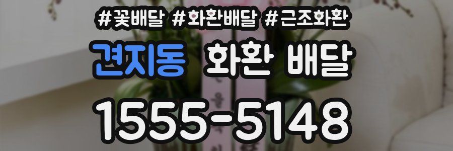 견지동 화환 배달