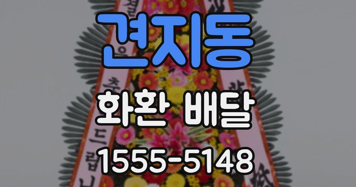 견지동 화환 배달