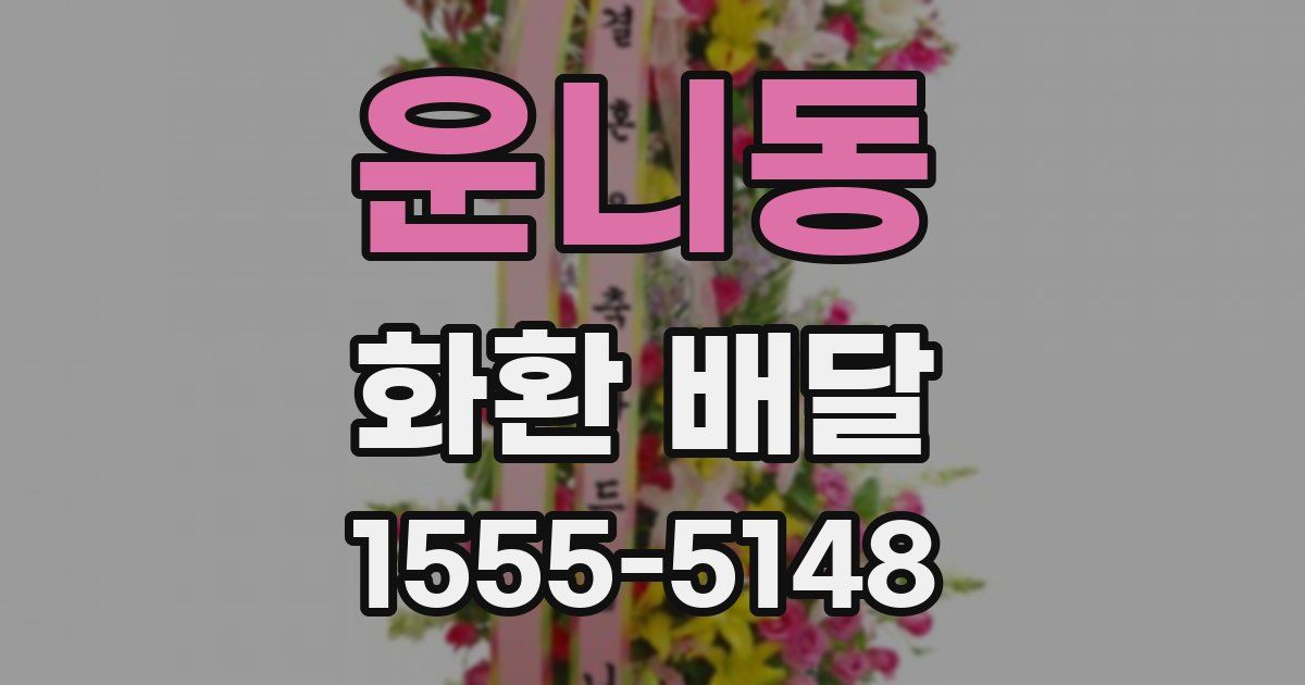 운니동 화환 배달
