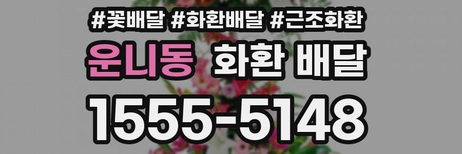 운니동 화환 배달