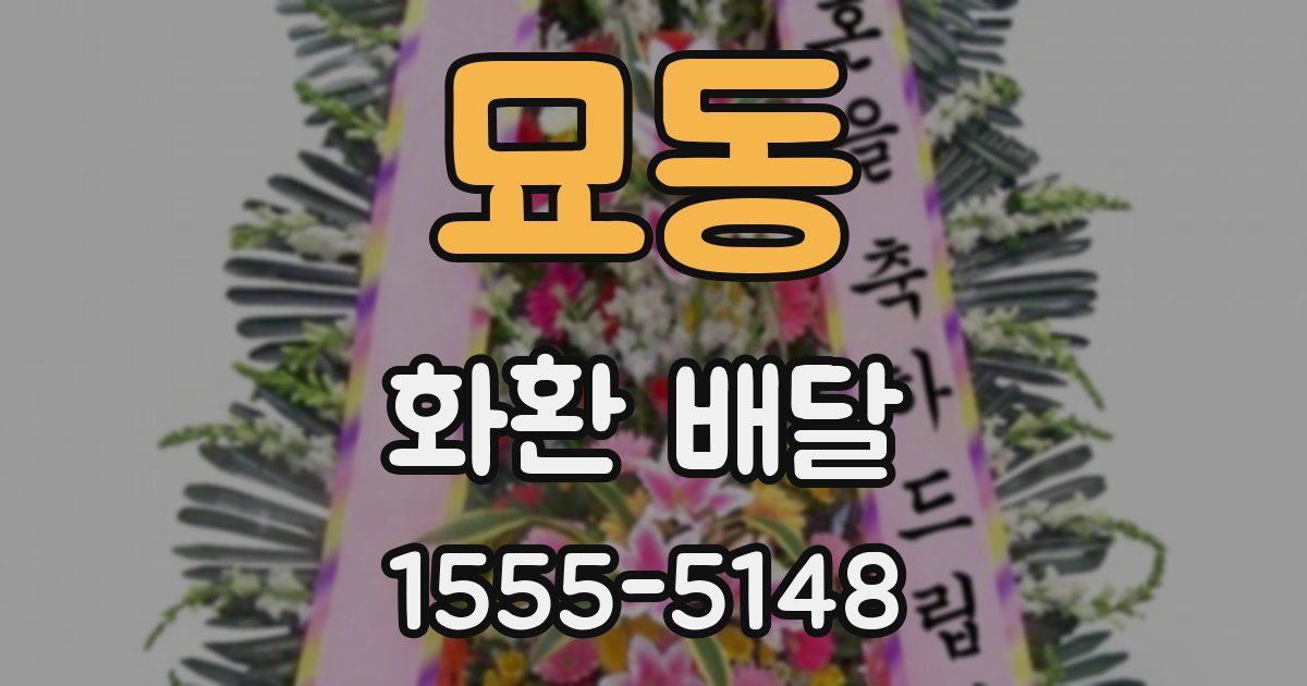 묘동 화환 배달