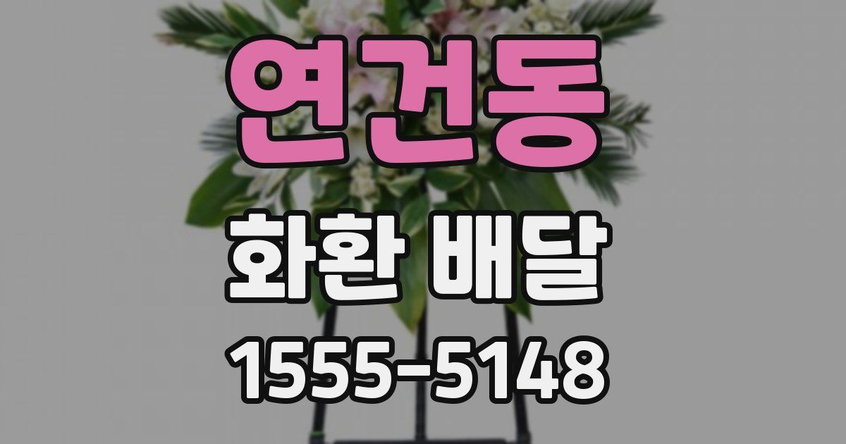 연건동 화환 배달