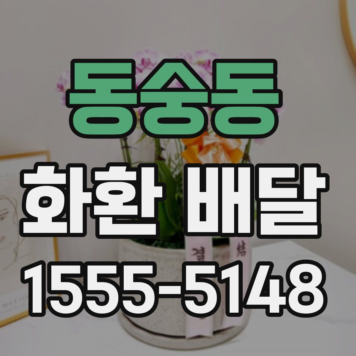 동숭동 화환 배달