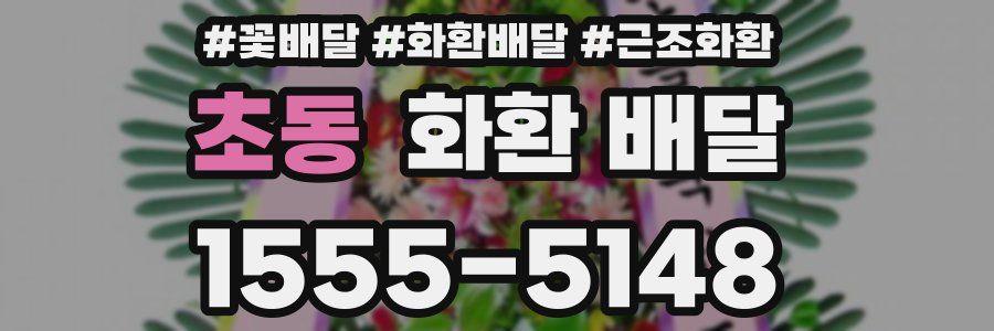 초동 화환 배달