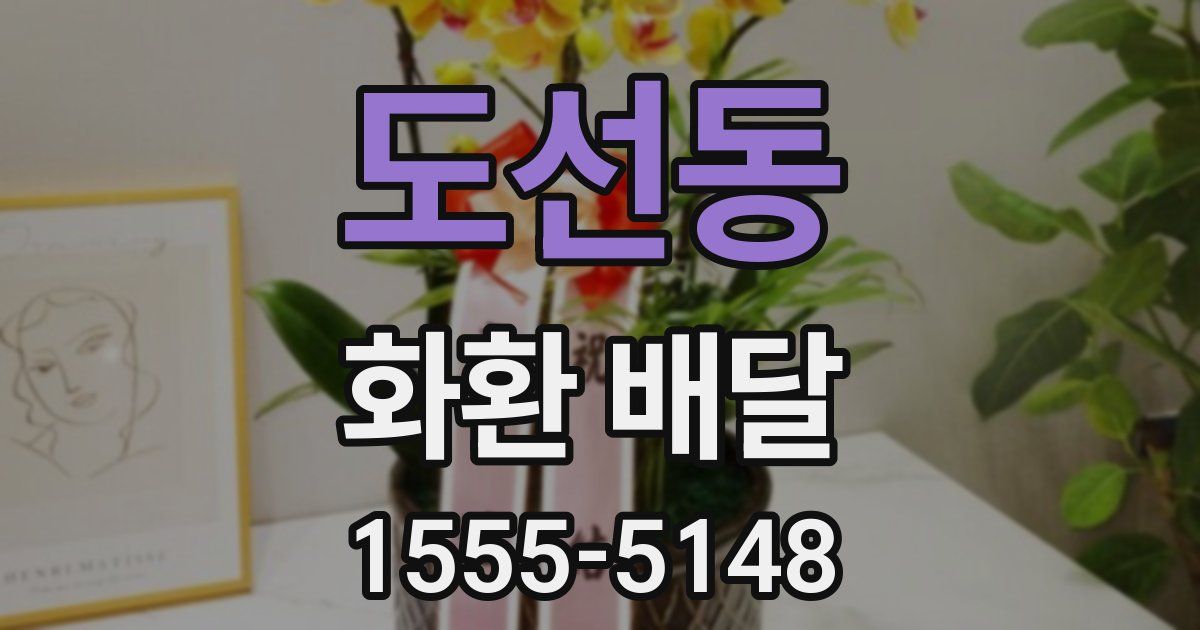 도선동 화환 배달