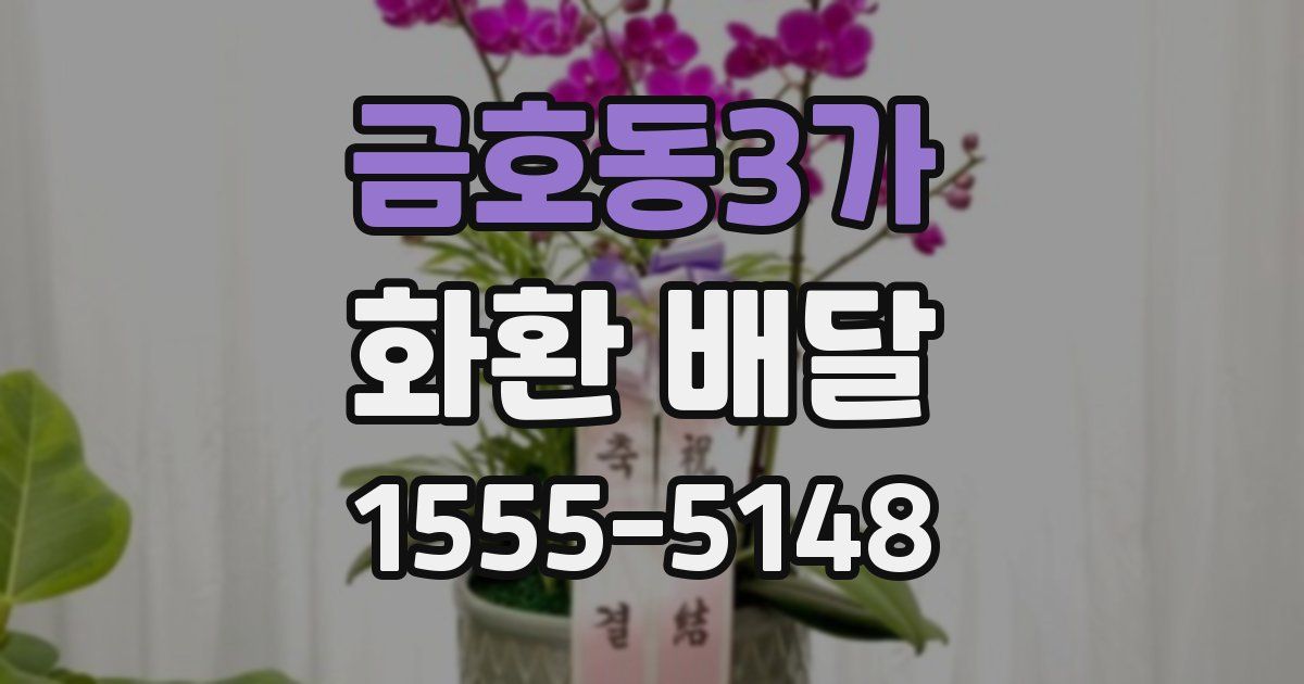 금호동3가 화환 배달
