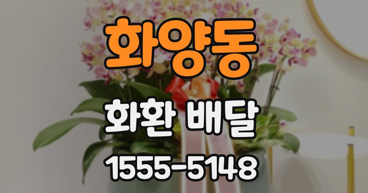 화양동 화환 배달