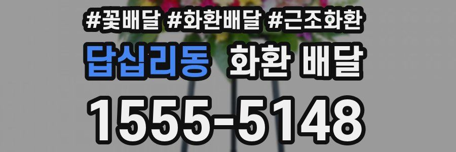 답십리동 화환 배달
