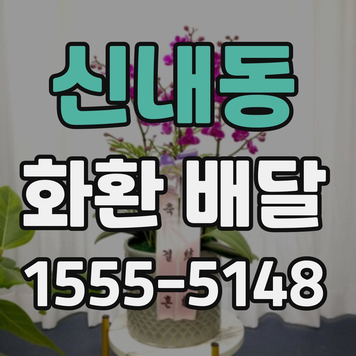 신내동 화환 배달
