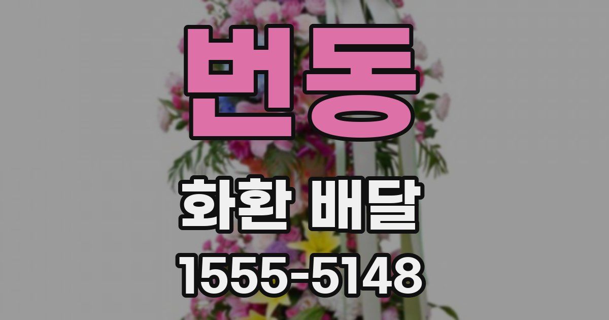 번동 화환 배달
