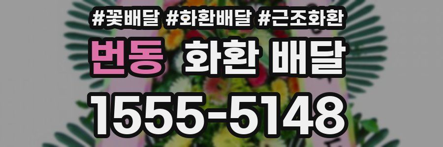 번동 화환 배달