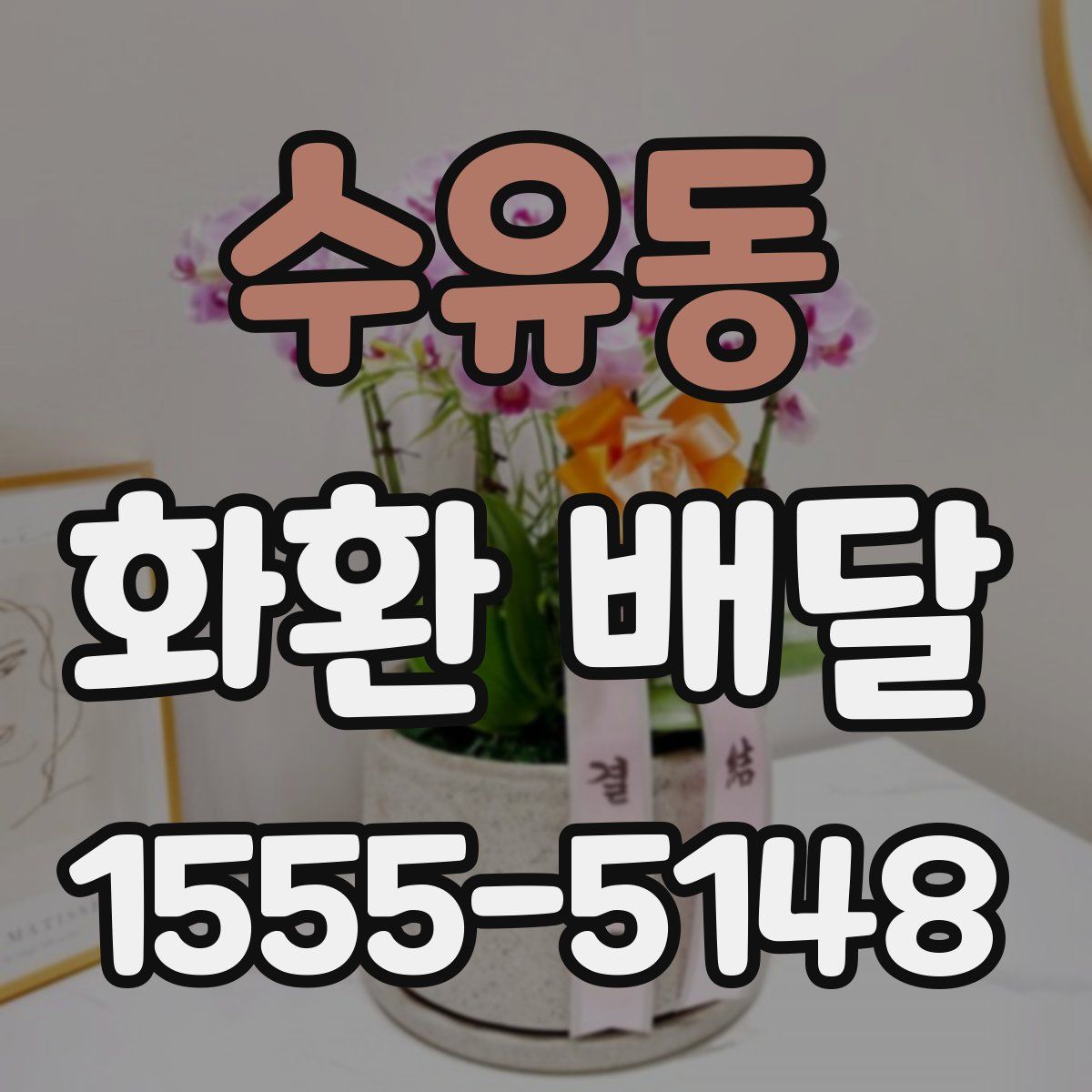 수유동 화환 배달