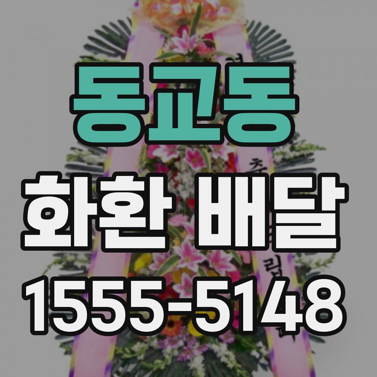 동교동 화환 배달