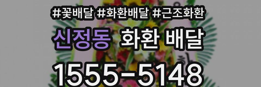 신정동 화환 배달