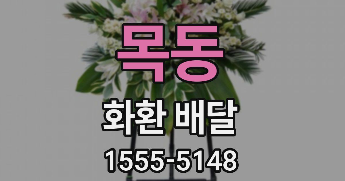 목동 화환 배달