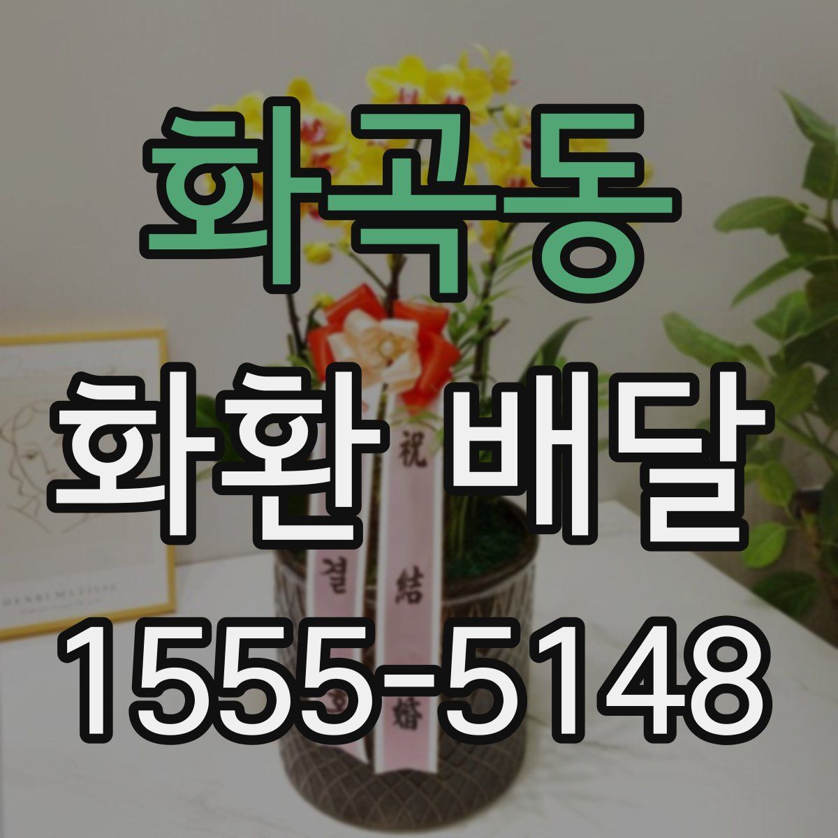 화곡동 화환 배달