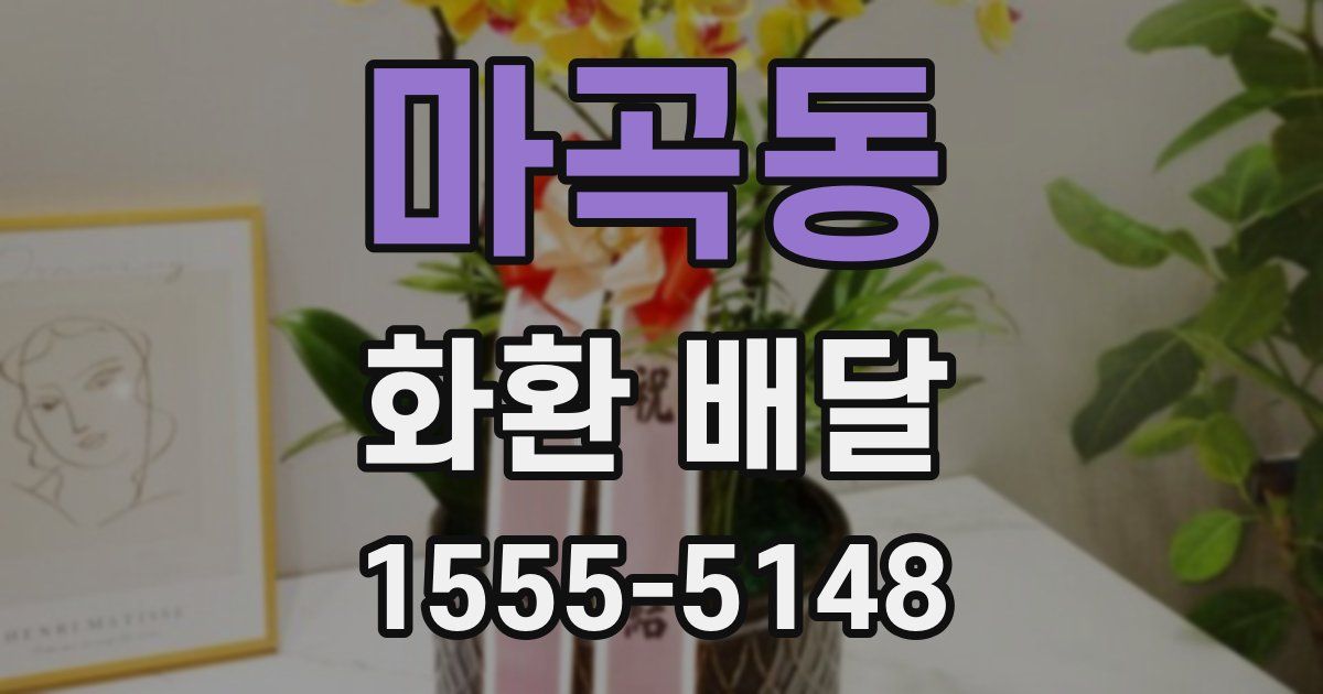 마곡동 화환 배달
