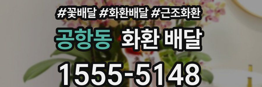 공항동 화환 배달