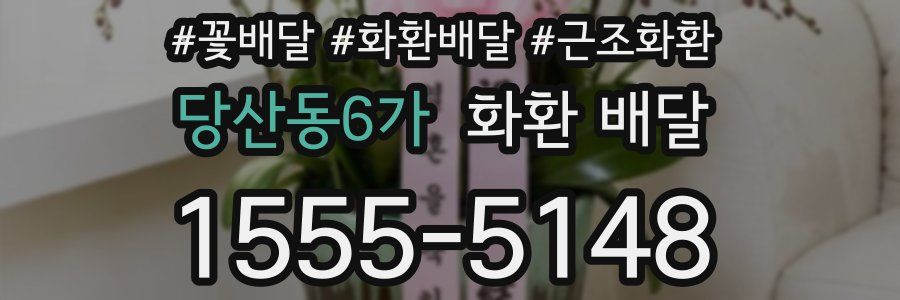 당산동6가 화환 배달