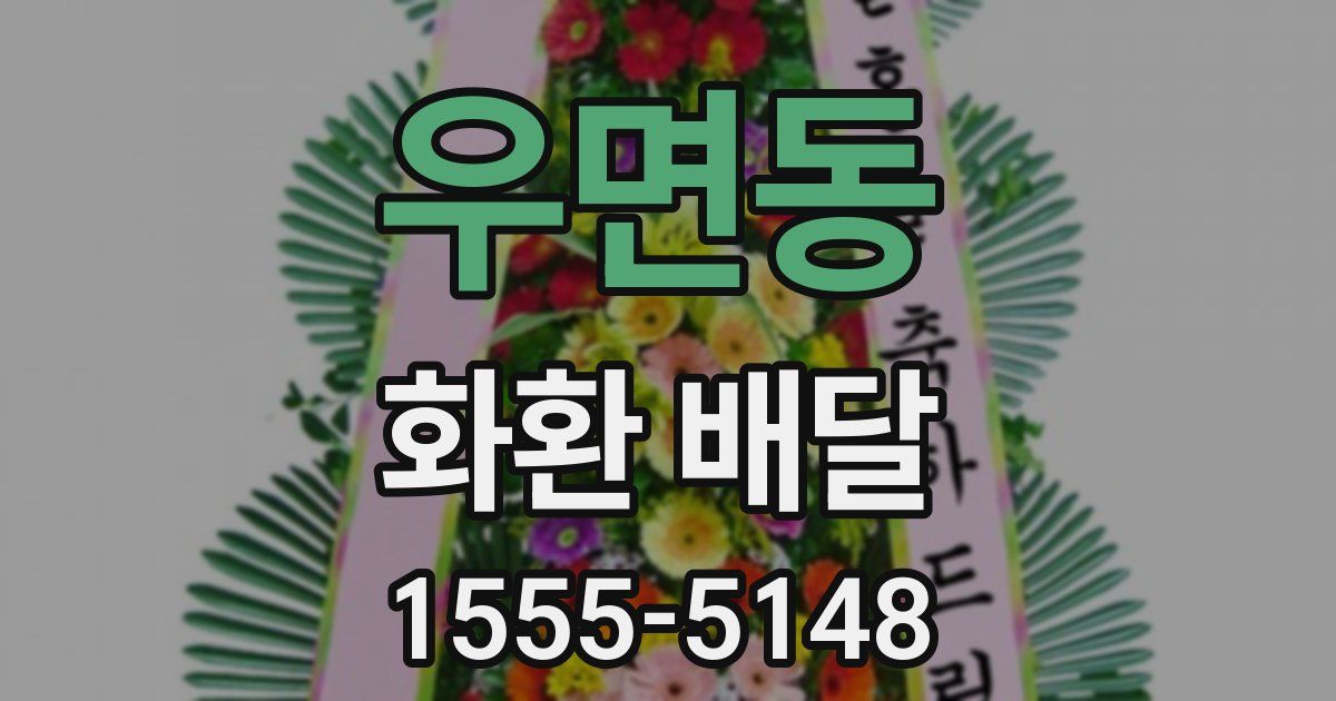 우면동 화환 배달