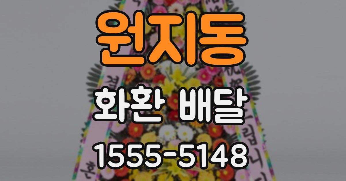 원지동 화환 배달