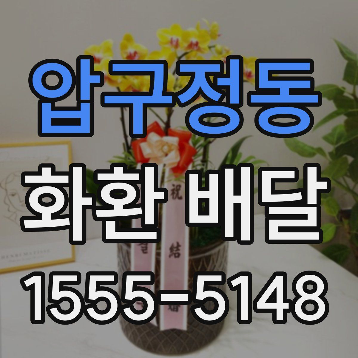 압구정동 화환 배달