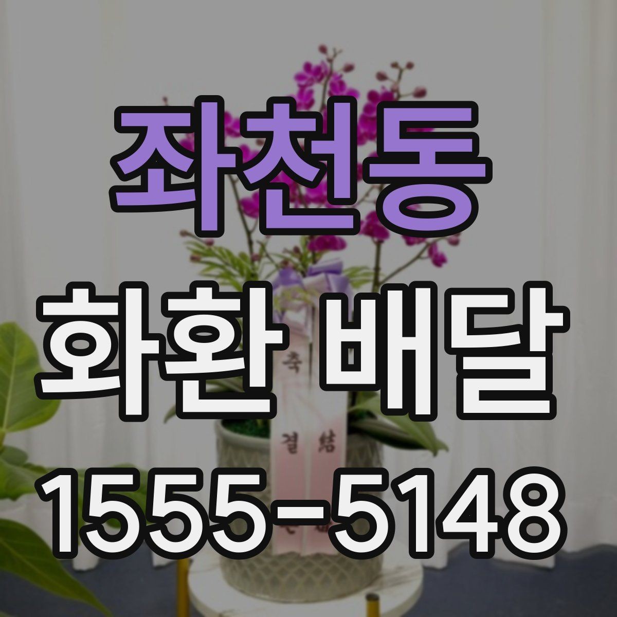좌천동 화환 배달 주문부터 확인까지 한 번에 정리