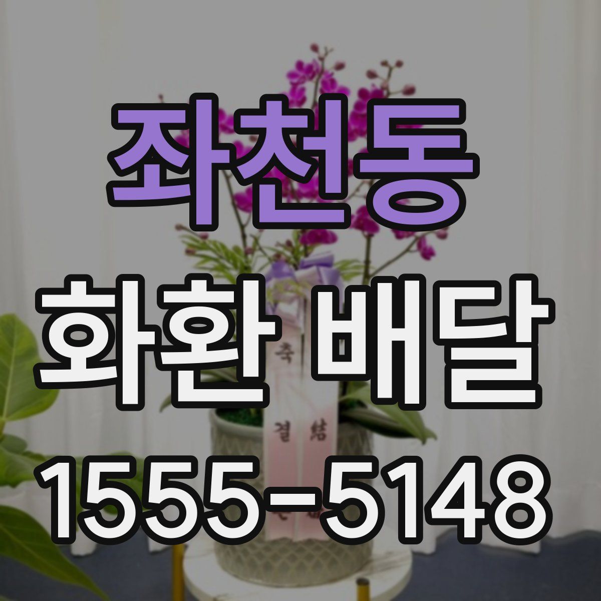 좌천동 화환 배달
