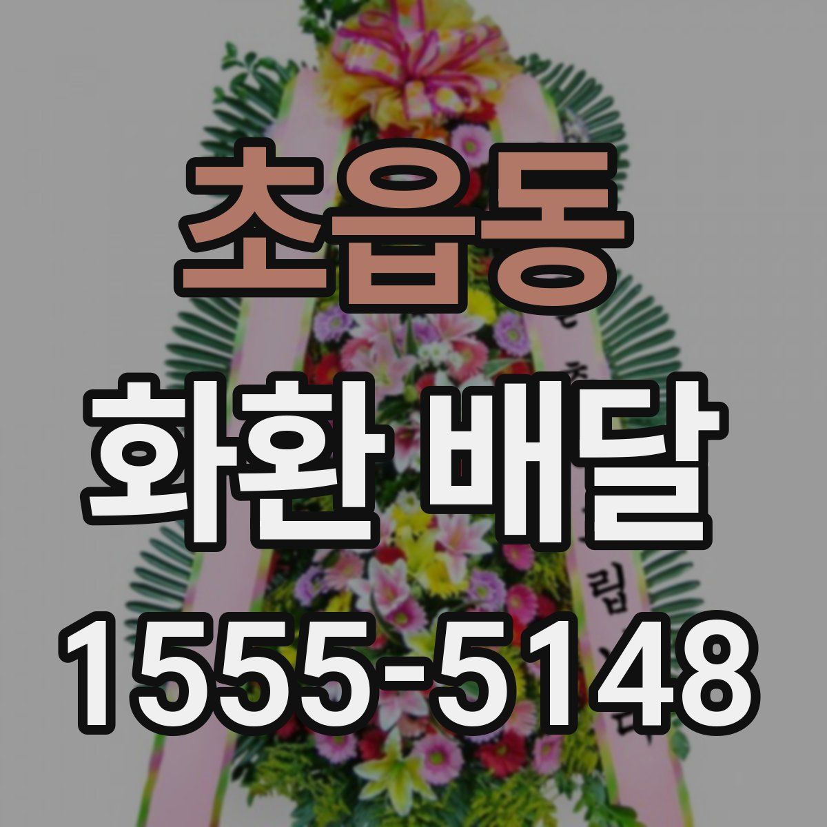 초읍동 화환 배달
