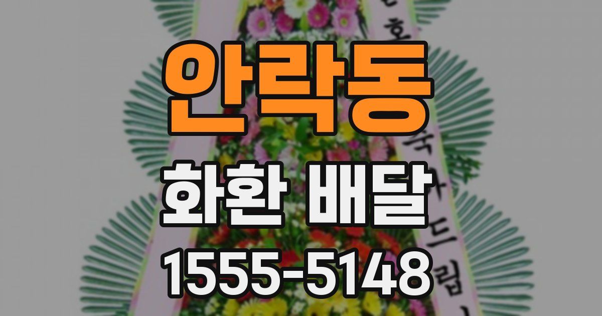 안락동 화환 배달