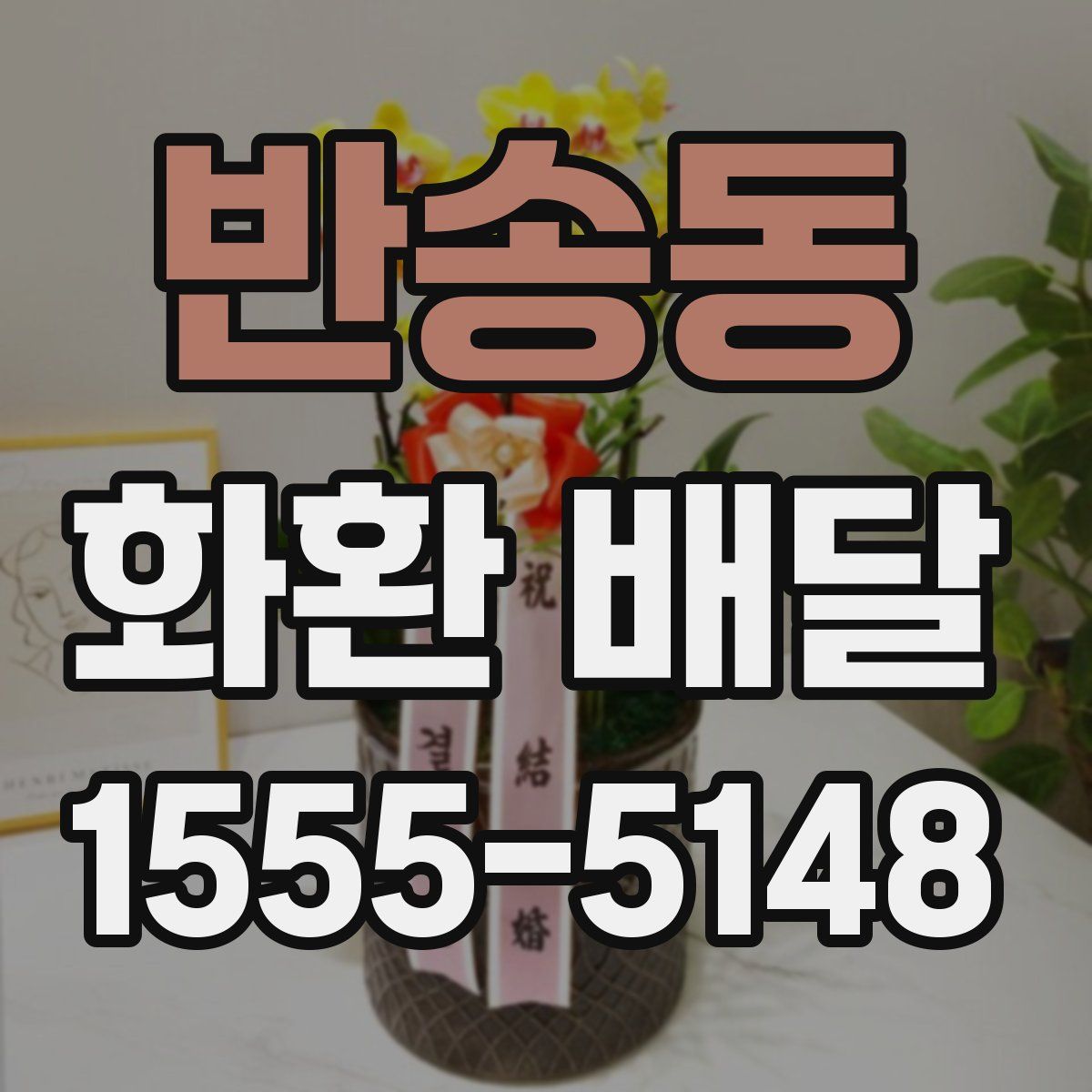 반송동 화환 배달