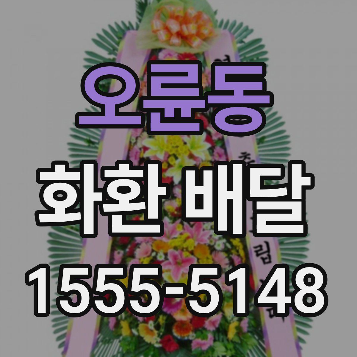 오륜동 화환 배달
