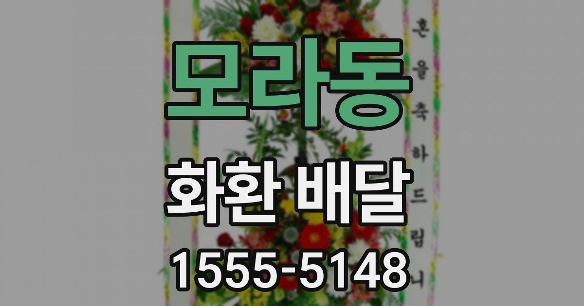 모라동 화환 배달
