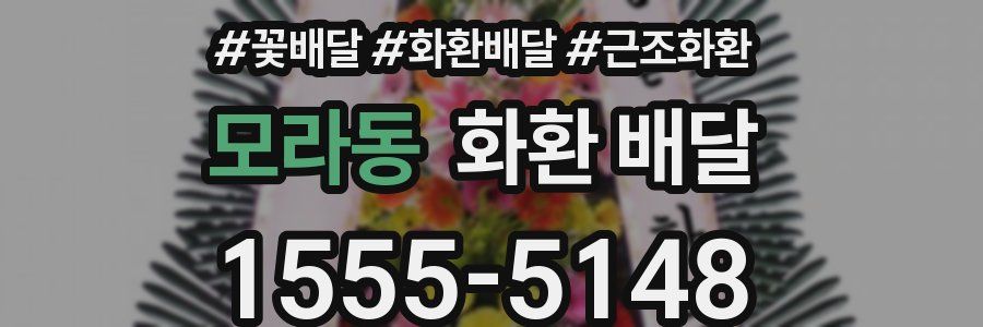모라동 화환 배달