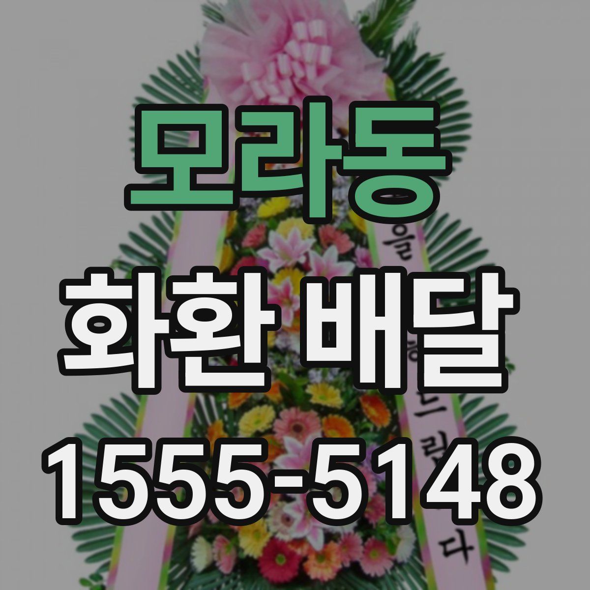 모라동 화환 배달