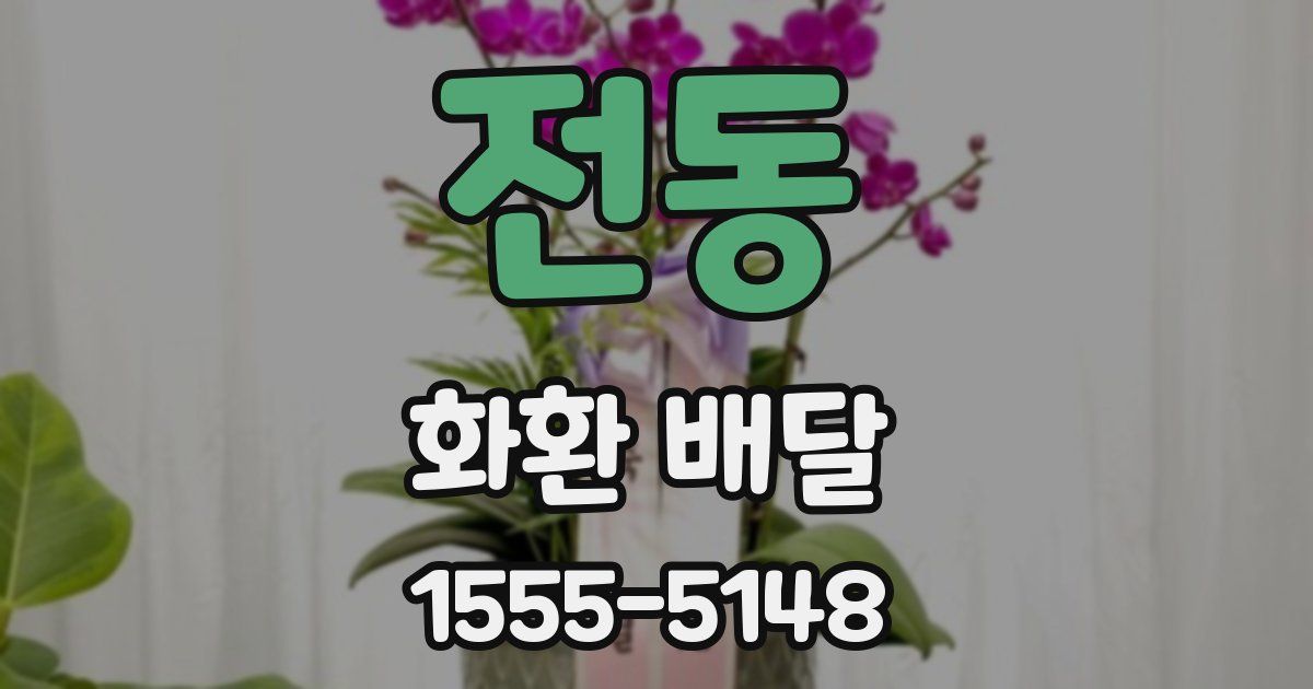전동 화환 배달