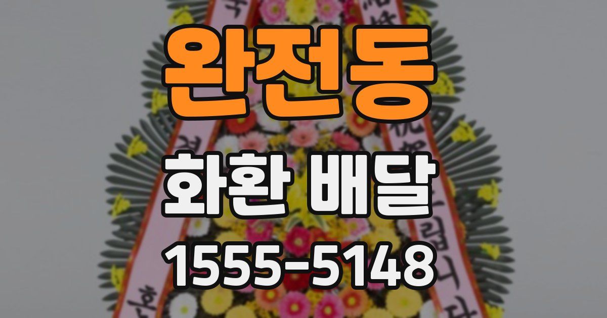 완전동 화환 배달