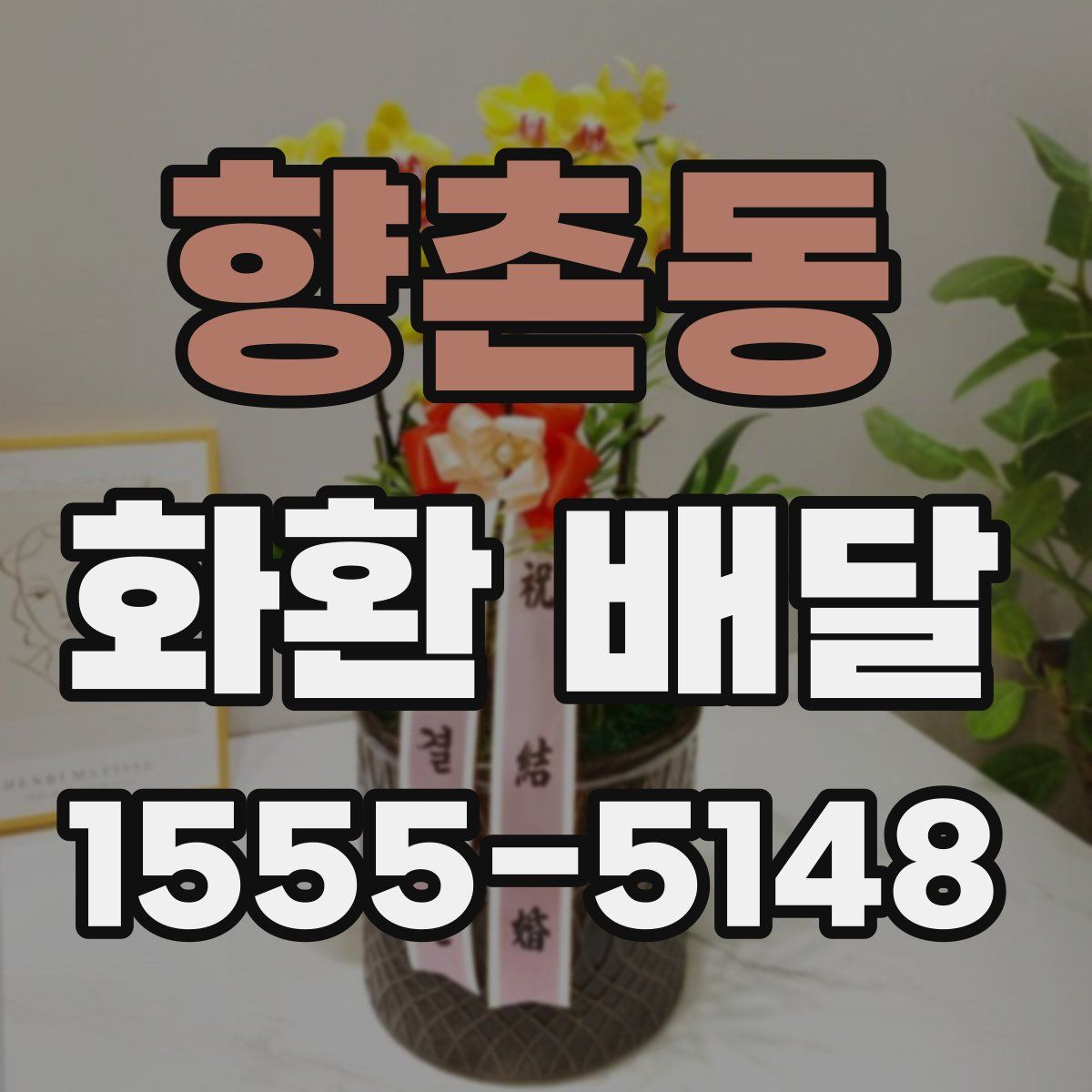 향촌동 화환 배달