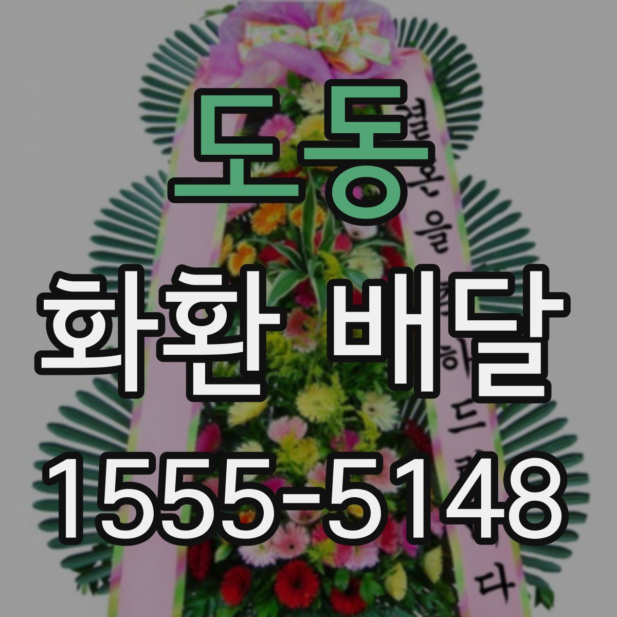 도동 화환 배달