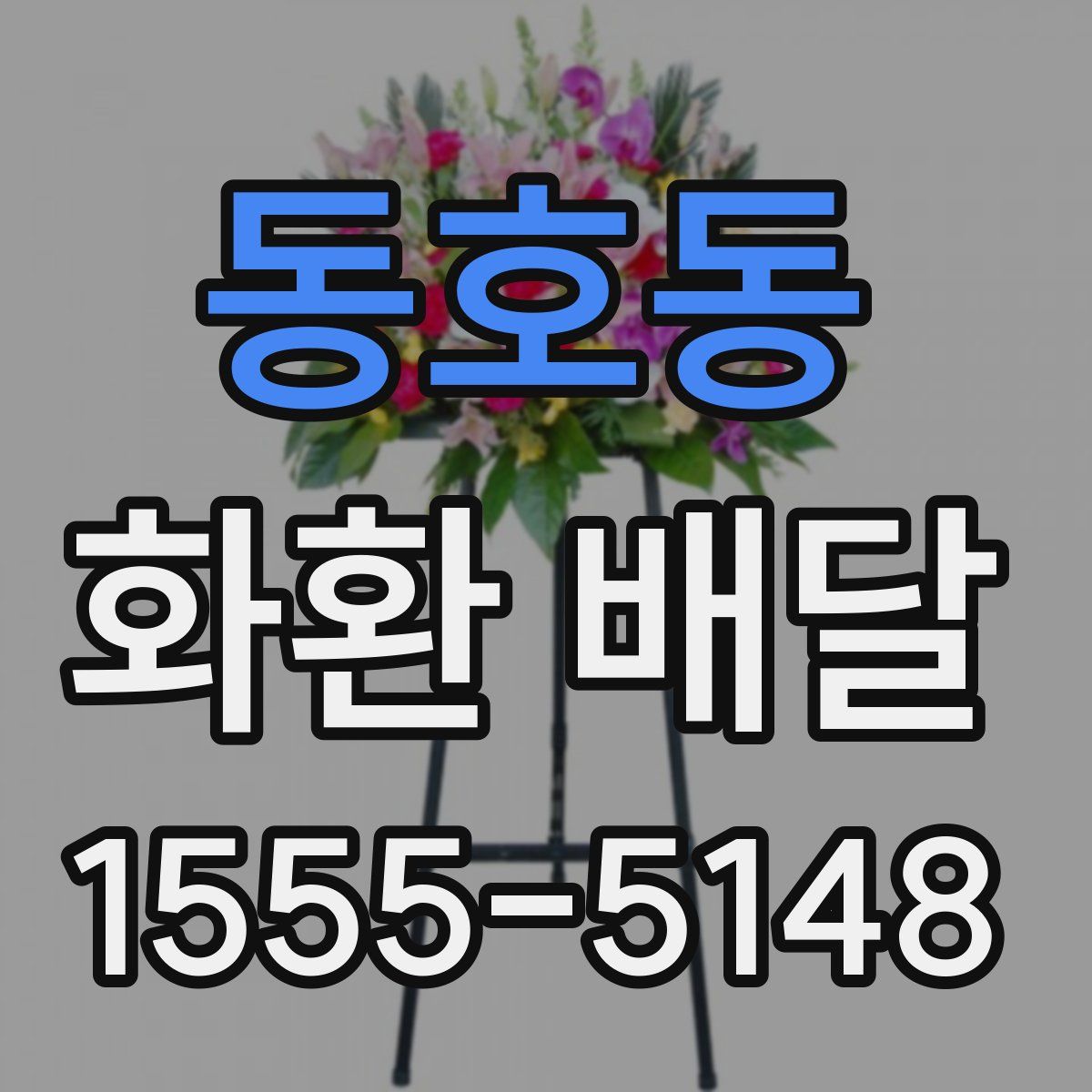 동호동 화환 배달