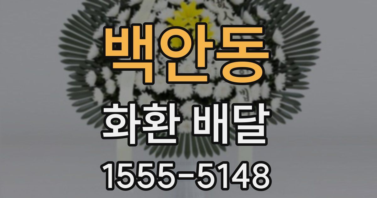 백안동 화환 배달