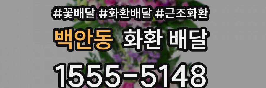 백안동 화환 배달