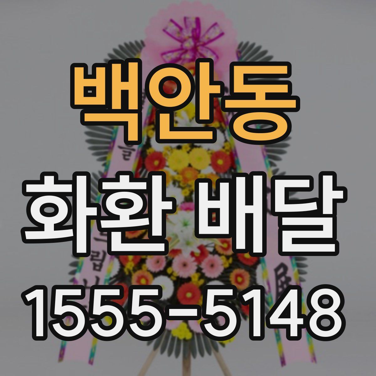 백안동 화환 배달