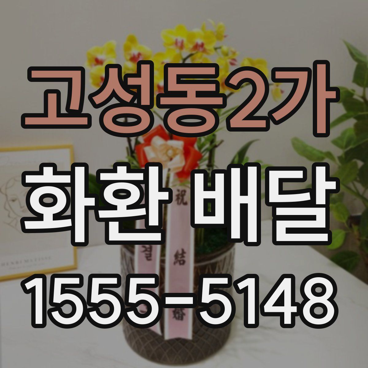 고성동2가 화환 배달